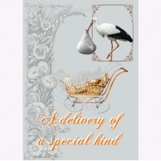  GREETING CARD Special Delivery (New Baby)